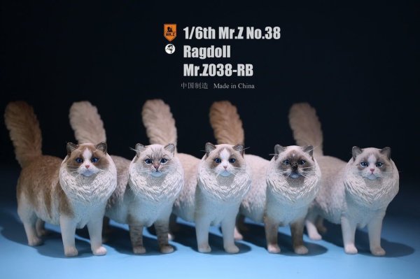 画像1: Mr.Z 1/6 ラグドール 5種 動物 置物 フィギュア　カラー選べます (1)