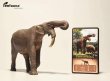 画像2: Eofauna 1/35 サイズ デイノテリウム 恐獣 象 大きい 絶滅 動物 リアル フィギュア PVC 20cm級 (2)