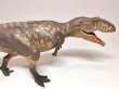 画像5: 恐竜Eofaunaギガノトサウルス（ディノクライシス・Ark Survival Evolved・ジュラシックワールド） (5)