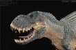 画像1: REBOR 1/35 ティラノサウルス 恐竜 リアル フィギュア PVC プラモデル 模型 42cm 塗装済 (1)
