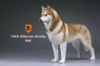 画像16: Mr.Z　1/6　シベリアンハスキー　ハスキー犬 6種 カラー選べます 動物 置物 フィギュア (16)