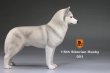 画像2: Mr.Z　1/6　シベリアンハスキー　ハスキー犬 6種 カラー選べます 動物 置物 フィギュア (2)