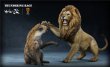 画像2: Mr.Z×SUNNY TOYS アフリカライオン VS ブチハイエナ 1/12 スタチュー セット 2種 フィギュア カラー選べます (2)