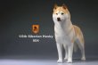 画像12: Mr.Z　1/6　シベリアンハスキー　ハスキー犬 6種 カラー選べます 動物 置物 フィギュア (12)