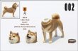 画像2: Mr.Z　1/6　柴犬　スタチュー　ヘッド2種＆1ボディ　5種 カラー選べます 動物 置物 フィギュア  (2)