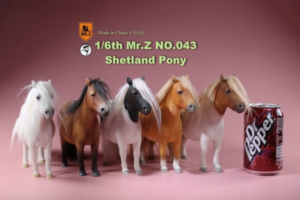 画像1: Mr.Z 1/6 シェットランド ポニー MRZ043 5種 カラー選べます 動物 置物 フィギュア (1)