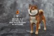 画像15: Mr.Z　1/6　柴犬　スタチュー　ヘッド2種＆1ボディ　5種 カラー選べます 動物 置物 フィギュア  (15)
