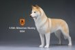 画像10: Mr.Z　1/6　シベリアンハスキー　ハスキー犬 6種 カラー選べます 動物 置物 フィギュア (10)