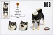 画像3: Mr.Z　1/6　柴犬　スタチュー　ヘッド2種＆1ボディ　5種 カラー選べます 動物 置物 フィギュア  (3)