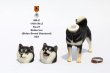 画像10: Mr.Z　1/6　柴犬　スタチュー　ヘッド2種＆1ボディ　5種 カラー選べます 動物 置物 フィギュア  (10)