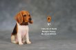 画像8: Mr.Z　1/6　ビーグル 子犬 パピー　2種 カラー選べます 動物 置物 フィギュア (8)