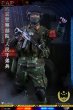 画像4: 予約 FLAGSET 1/6 中国人民武装警察部隊  アクションフィギュア 73028 (4)