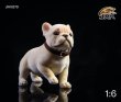 画像11: JxK.Studio 1/6 フレンチ・ブルドッグ  犬 5種 JXK028 フィギュア (11)
