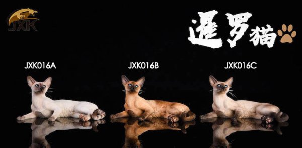 画像1: xK Studio 1/6　シャム猫  3種 JxK016 フィギュア (1)