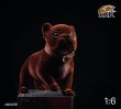 画像16: JxK.Studio 1/6 フレンチ・ブルドッグ  犬 5種 JXK028 フィギュア (16)