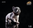画像6: JxK.Studio 1/6 フレンチ・ブルドッグ  犬 5種 JXK028 フィギュア (6)