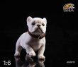 画像8: JxK.Studio 1/6 フレンチ・ブルドッグ  犬 5種 JXK028 フィギュア (8)