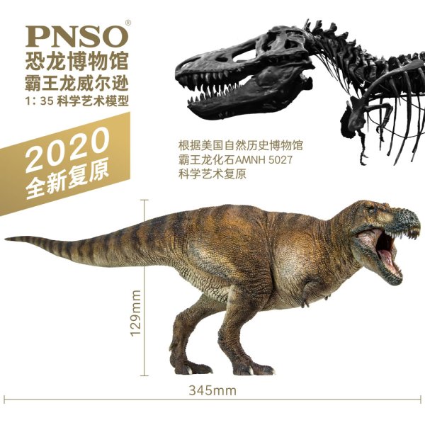 画像1: pnso   ティラノサウルス 1/35 スタチュー 恐竜 フィギュア 34CM (1)