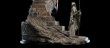 画像3: Weta ウェタ ホビット 竜に奪われた王国 スランドゥイル  1/6 スタチュー (3)