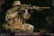 画像12:  DAMTOYS 1/6 米海軍特殊部隊 ネイビーシールズ SDVチーム1 - スナイパー ”レッド・ウィング作戦” in アフガニスタン アクションフィギュア 78085 (12)