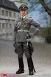 画像15: 新品  3R DID GM646 W2ドイツ軍  親衛隊全国指導者 ハインリヒ・ヒムラー 1/6スケールアクションフィギュア (15)