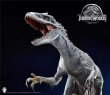 画像9:  w-dragon Indominus Rex 1/15 スタチュー	 (9)