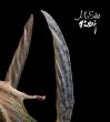 画像10: msee studio pteranodon 1/10 スタチュー 塗装済み 完成品 (10)