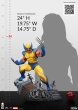 画像5: 予約 サイドショウ x PCS  Wolverine 1/3 スタチュー フィギュア (5)