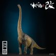 画像4: 予約 本心楠改 ブラキオサウルス 44cm フィギュア (4)