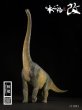 画像2: 予約 本心楠改 ブラキオサウルス 44cm フィギュア (2)