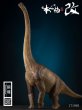 画像9: 予約 本心楠改 ブラキオサウルス 44cm フィギュア (9)