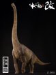 画像8: 予約 本心楠改 ブラキオサウルス 44cm フィギュア (8)