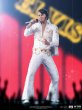 画像3: 予約 iron studios アイアンスタジオ Elvis Presley  1/10 スタチュー 塗装済み 完成品 (3)