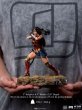 画像11:  iron studios アイアンスタジオ Wonder Woman 1/10 スタチュー 塗装済み 完成品 (11)