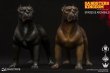 画像2: 予約 DAMTOYS ギャング王国スペード8 カスロ犬 1/6 アクションフィギュア GK024S (2)