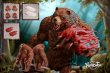 画像2:  MEMORYTOYS  遠古の魔獣 熊人族 ドルイド  Druid  アクションフィギュア (2)