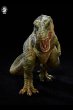 画像4:  w-dragon 1/20 ティラノサウルス スタチュー  グリーン 差し替え用ヘッド付き (4)