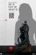 画像2:  サイドショウ Batman and Catwoman  フィギュア  200618 (2)
