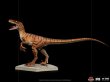 画像2: アイアンスタジオ Iron Studios   Velociraptor - Lost World 1/10 UNIVJP63722-10 (2)