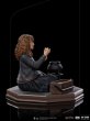 画像6: 予約 アイアンスタジオ Iron Studios  Hermione Granger Polyjuice Regular Version - Harry Potter 1/10 WBHPM65722-10 (6)