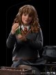 画像7: 予約 アイアンスタジオ Iron Studios  Hermione Granger Polyjuice Regular Version - Harry Potter 1/10 WBHPM65722-10 (7)