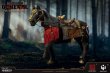 画像2: 予約 HHMODEL x HAOYUTOYS Imperial Legion - Imperial General (War Horse) 1/6 アクションフィギュア HH18059 (2)