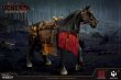画像4: 予約 HHMODEL x HAOYUTOYS Imperial Legion - Imperial General (War Horse) 1/6 アクションフィギュア HH18059 (4)