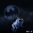 画像1: 予約 Design Earth Toys   Bat Peagle SOCIALS  フィギュア PA002DET (1)