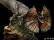画像6: 予約 Iron Studios  Dilophosaurus  Jurassic World 1/10  フィギュア UNIVJW69322-10 (6)