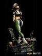 画像5: 予約 Iron Studios   《 モータルコンバット 》   Sonya Blade BDS  Mortal Kombat  1/10  フィギュア  MORTAL69422-10 (5)
