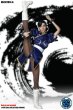 画像5:  SUPER DUCK Chinese fighting goddess 1/6 SET014-A 素体無し (5)
