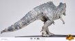 画像8: 予約 Spiral Studio  Jurassic World 3 Giganotosaurus  1/10 フィギュア   (8)