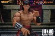 画像4: Storm Toys  《 モータルコンバット 》   Mortal Kombat  LIU KANG  アクションフィギュア DCMK11 (4)