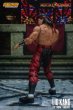 画像12: Storm Toys  《 モータルコンバット 》   Mortal Kombat  LIU KANG  アクションフィギュア DCMK11 (12)